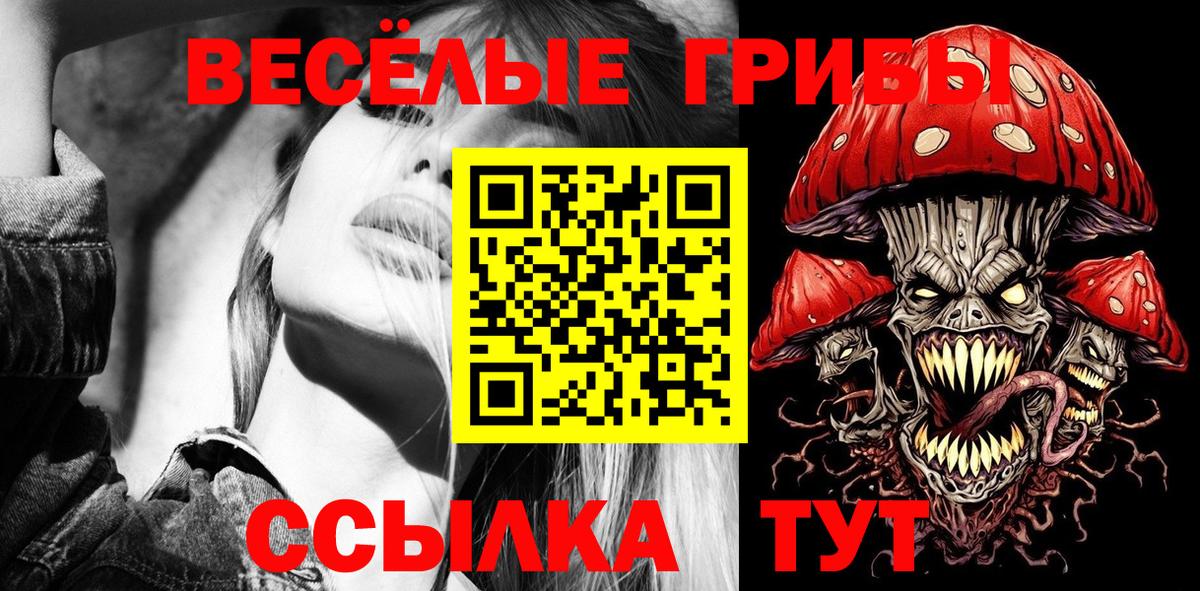 Геленджик  Галлюциногенные грибы Psilocybe  Вход с VPN 